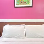 Ck Hotel